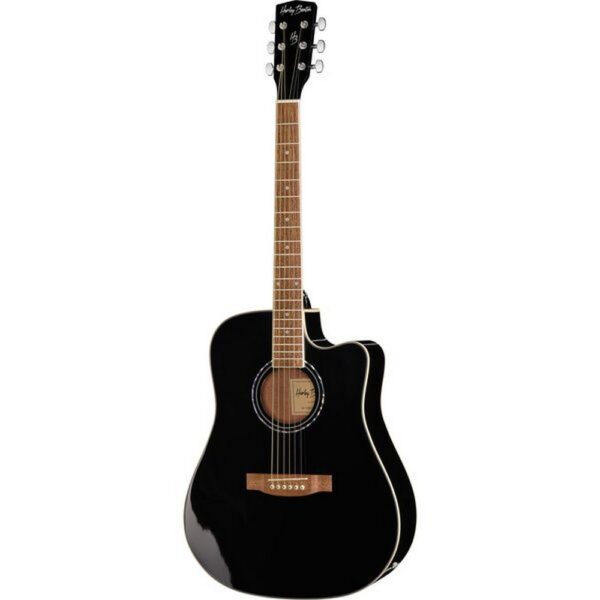 Ozvučena akustična gitara D-120CE BK