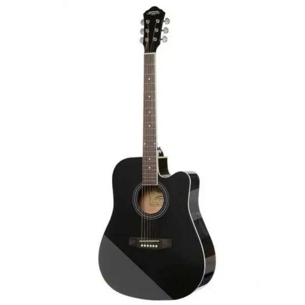 HS4111 akustična gitara