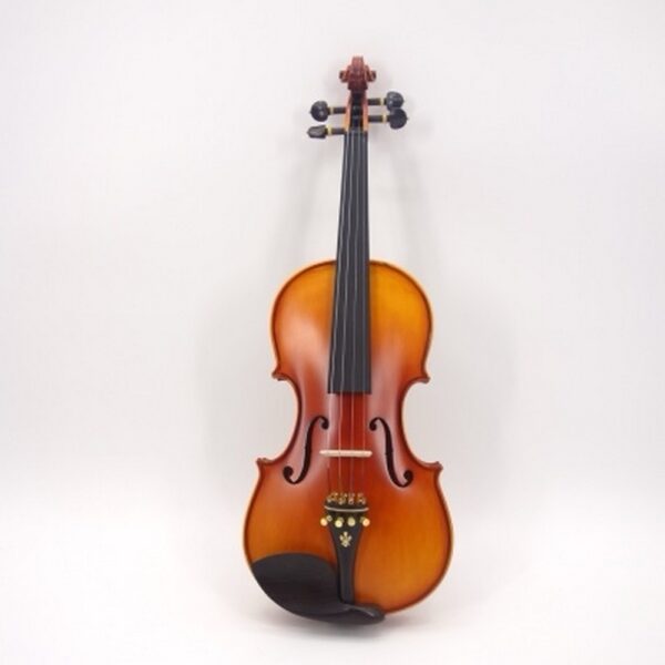 Violina Basic 4/4