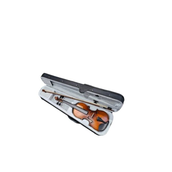 Violina Basic 4/4